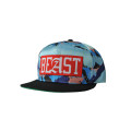 Personalizado Bill Bill Sports Snapback Bonés de beisebol (F0043)